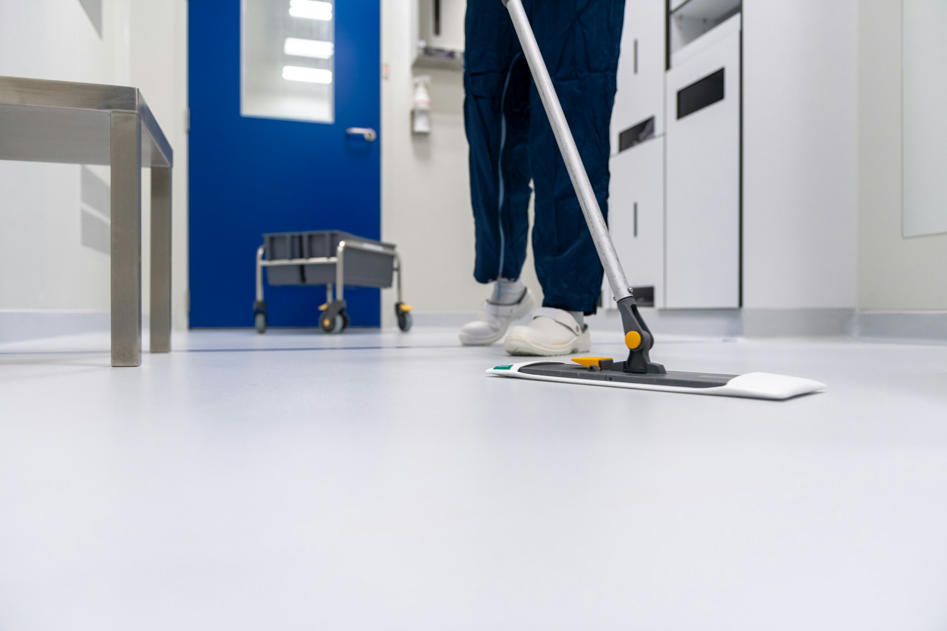Professional House Cleaning
